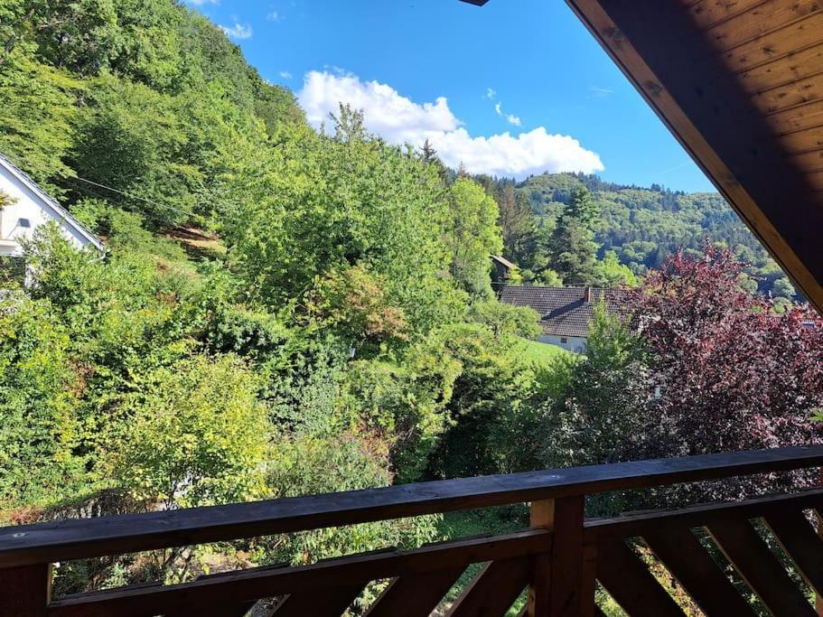 Gemuetliche Waldrandlage In Badenweiler Sehringen Ferienwohnung Экстерьер фото