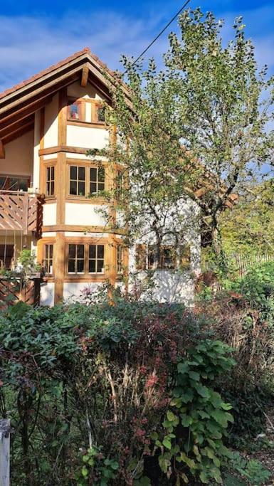 Gemuetliche Waldrandlage In Badenweiler Sehringen Ferienwohnung Экстерьер фото