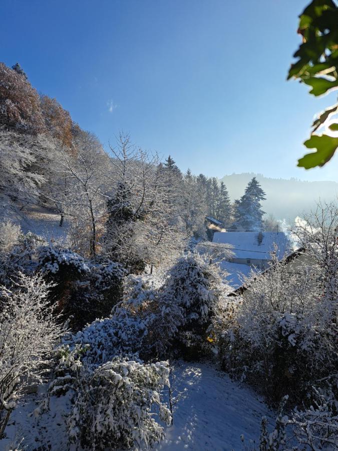 Gemuetliche Waldrandlage In Badenweiler Sehringen Ferienwohnung Экстерьер фото